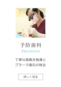 予防歯科｜丁寧な歯磨き指導とプラーク・歯石の除去、クリーニング、PMTC