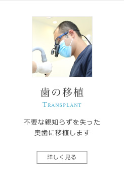 歯の移植とは、歯が失われた場所に、自身の余っている歯（親知らずなど）を移植することです。